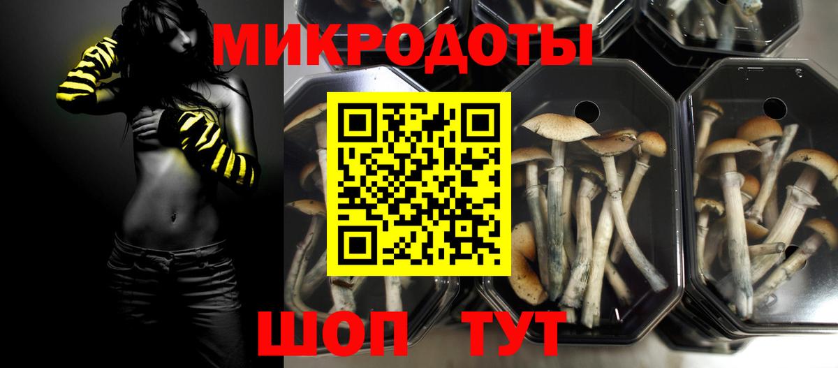Тулун  Галлюциногенные грибы прущие грибы  Вход с VPN  Галлюциногенные грибы Psilocybine cubensis 
